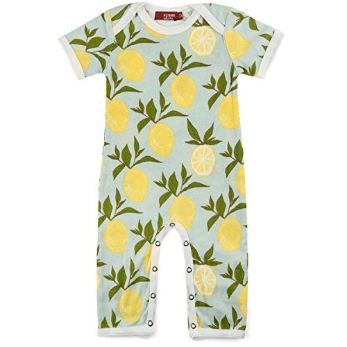 Organic Short Sleeve Romper, Blue Lemon, 12-18M