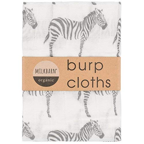 Organic Burpies, Grey Zebra, 23"x23", Set of 2