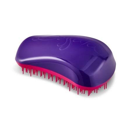 Dessata Brush - Purple Top-Fuchsia Bristles