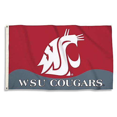 Washington State 3 X 5 Flag