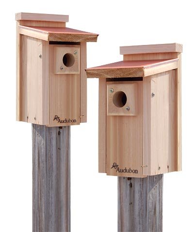 Audubon Coppertop Bluebird House 8.2”D X 6.7”W X 12.7”H