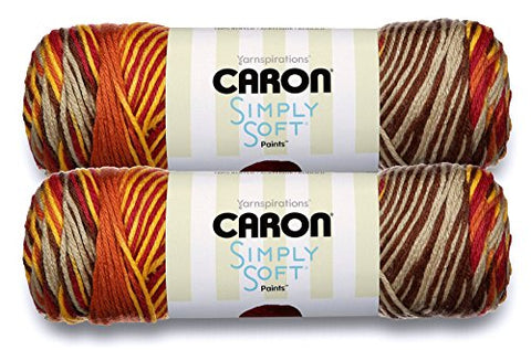 Caron Simply Soft Bulk Buy Paints 100% Acrylic Yarn (2-Pack) ~ 5 oz. Skeins (Sunset Autumn)