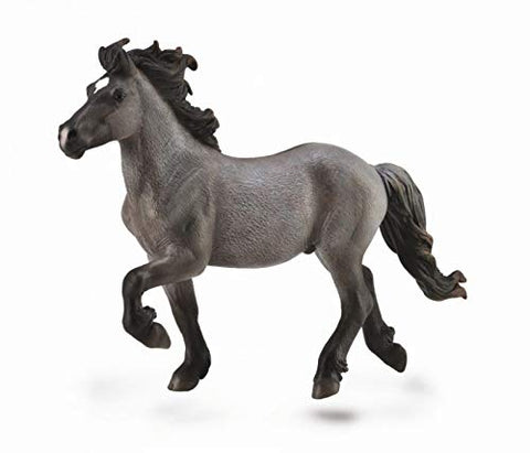 Horses - Icelandic Blue Dun Stallion