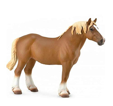 Horses - Chestnut Belgian Mare