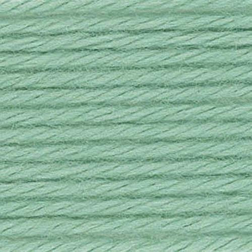 Caron NOM068068 Simply Soft Yarn Solids, Sage