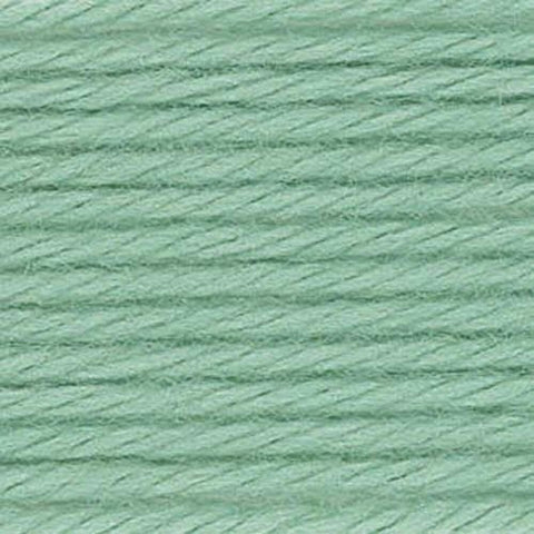 Caron NOM068068 Simply Soft Yarn Solids, Sage