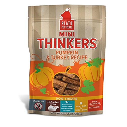 Plato D Min Thnkr Pmpkn Tky 8oz