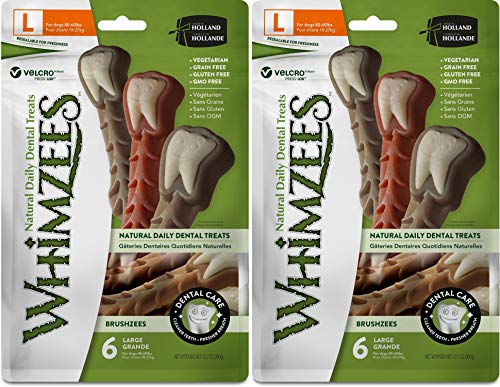 Paragon Whimzees Val Bag T Brushzees Large 6/Pc