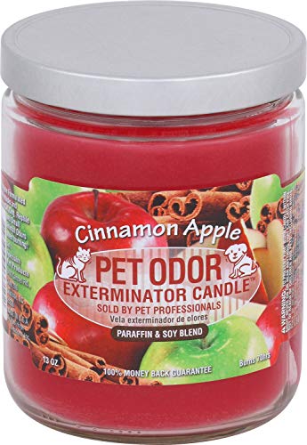 Cinnamon Apple Jar Candle, 13oz