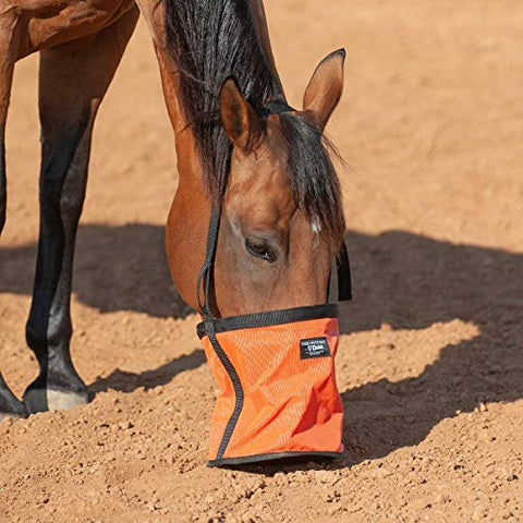 Feed Rite Bag Horse - Orange (Not in pricelist)