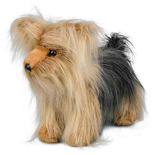 Brenton Yorkie