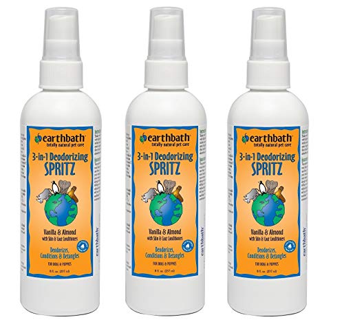 Earthwhile Endeavors Spritz Vanilla Almond Pump 8oz