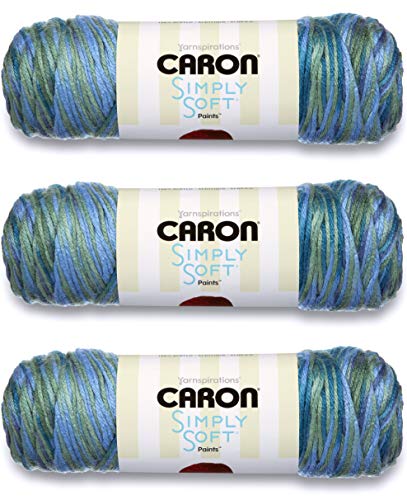 Caron Simply Soft Paints 5 oz (Spring Brook)