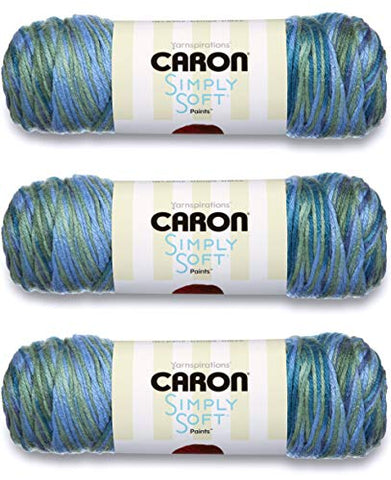 Caron Simply Soft Paints 5 oz (Spring Brook)