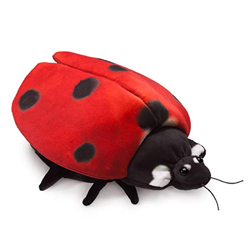 Ladybug Life Cycle, Hand Puppet