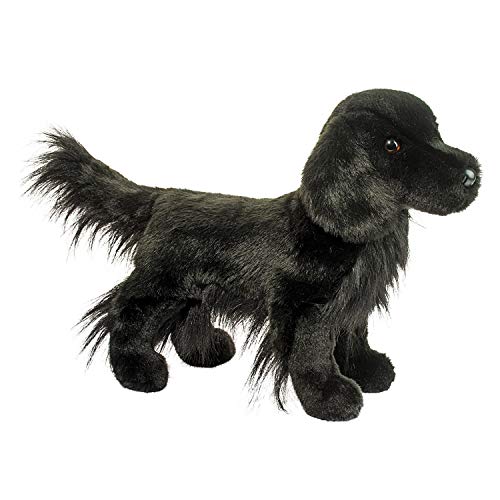 Jett Flat-Coated Retriever