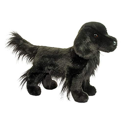 Jett Flat-Coated Retriever