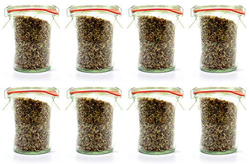Mini Mold Jars