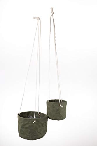 CALDO Plant Hanger (Green)